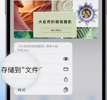 蓬莱apple维修中心分享iPhone文件应用中存储和找到下载文件