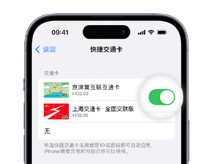 蓬莱apple维修点分享iPhone上更换Apple Pay快捷交通卡手绘卡面 