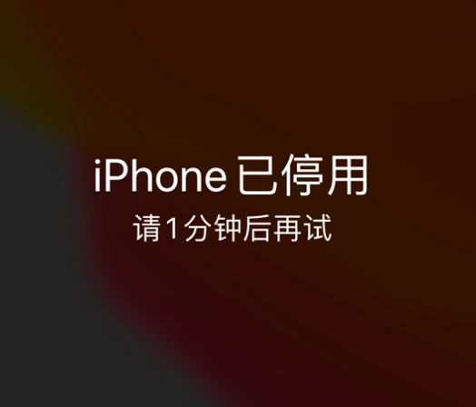 蓬莱苹果手机维修分享:iPhone 显示“不可用”或“已停用”怎么办？还能保留数据吗？ 