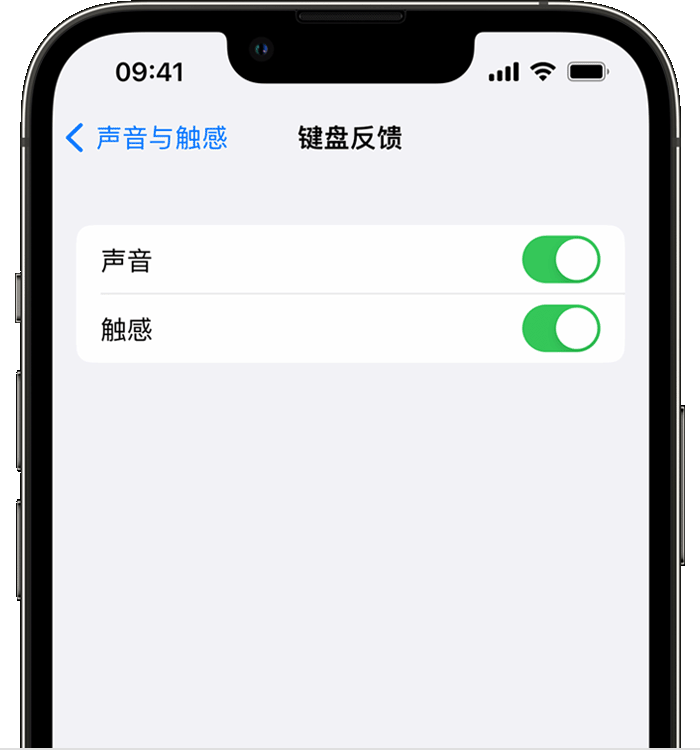 蓬莱苹果14维修店分享如何在 iPhone 14 机型中使用触感键盘 