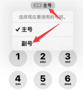 蓬莱苹果14维修店分享iPhone 14 Pro Max使用副卡打电话的方法 