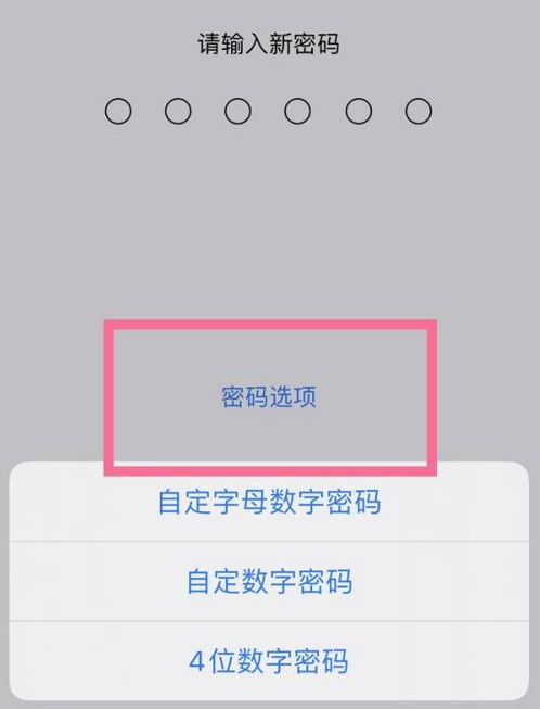 蓬莱苹果14维修分享iPhone 14plus设置密码的方法 