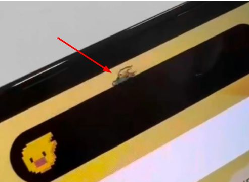 蓬莱苹果14维修分享iPhone 14 Pro Max灵动岛怎么养宠物 