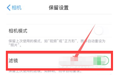 蓬莱苹果13维修分享iPhone13拍照有绿点是怎么回事 