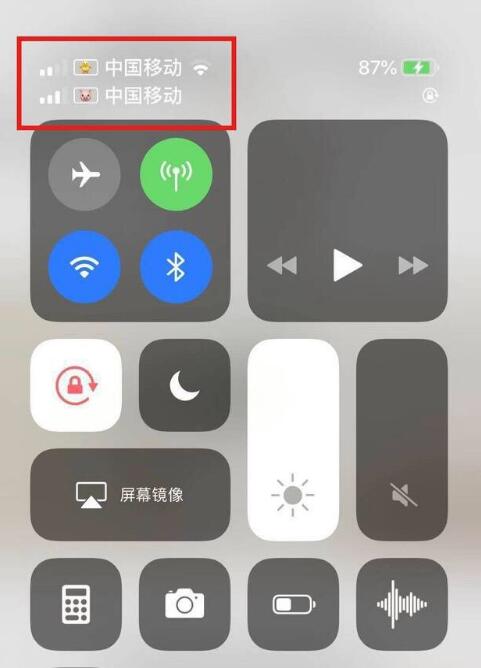 蓬莱苹果手机维修分享为 iPhone 12 双卡设置标签 
