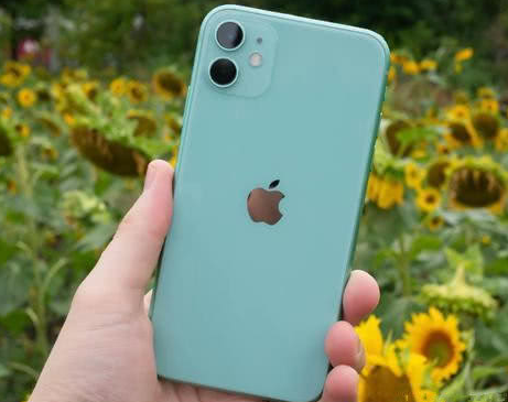 蓬莱苹果维修点分享iPhone 11锁屏密码认知与使用科普 